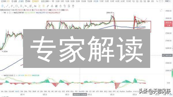 专家解读：机构入场对比特币的影响？2024年加密货币行情分析