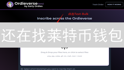 还在找莱特币钱包？2024 最新安全指南：选哪个钱包最适合你？