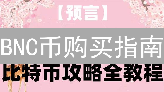 BNC币购买指南：新手避坑必看！投资前，这几点你必须知道