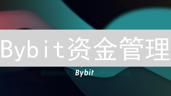 Bybit资金管理：新手也能学会的爆赚秘籍？
