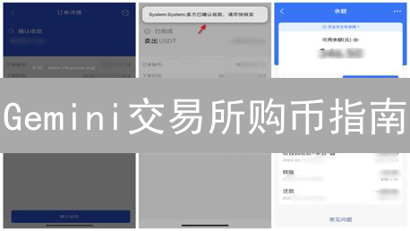 Gemini交易所购币指南：避坑技巧大公开，新手也能轻松上手！