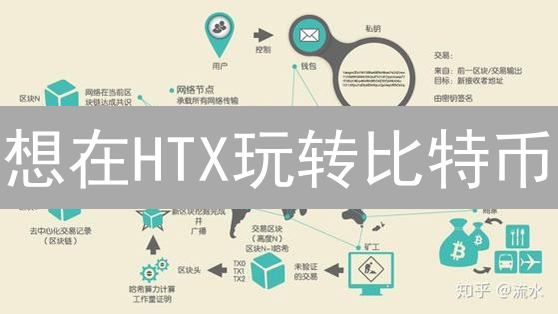 想在HTX玩转比特币？掌握这些风险管理策略，稳赚不赔！