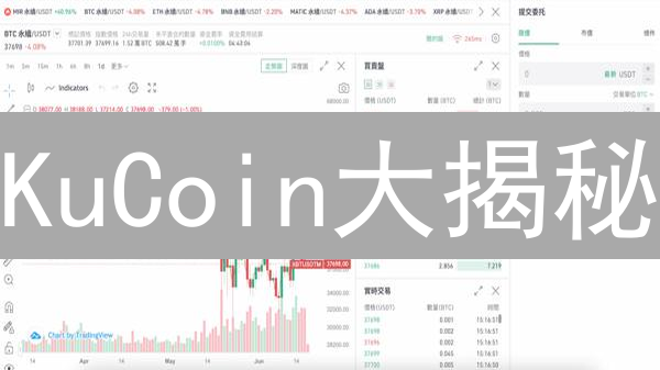 KuCoin大揭秘：币圈老司机带你飞🚀(内附薅羊毛攻略)
