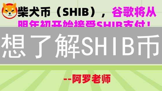 想了解SHIB币？银行接纳之路：机遇与挑战并存！