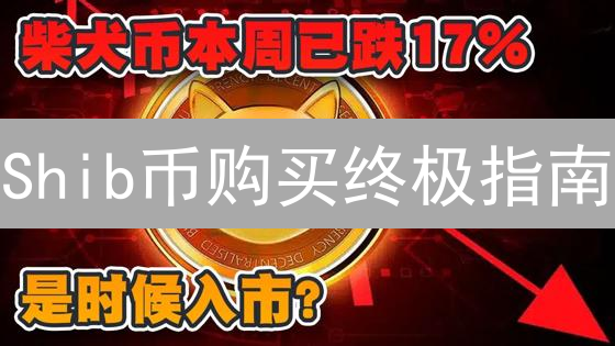 Shib币购买终极指南：新手如何避坑？7个安全要点！