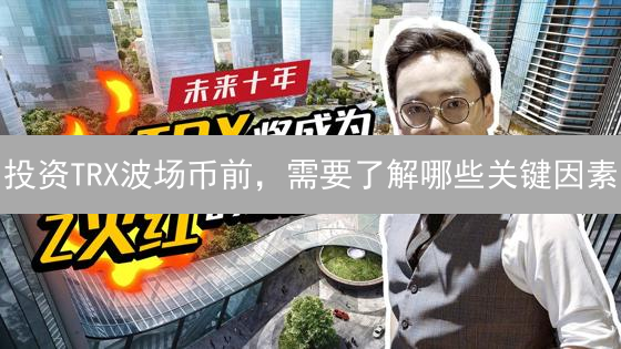 投资TRX波场币前，需要了解哪些关键因素？【2024指南】