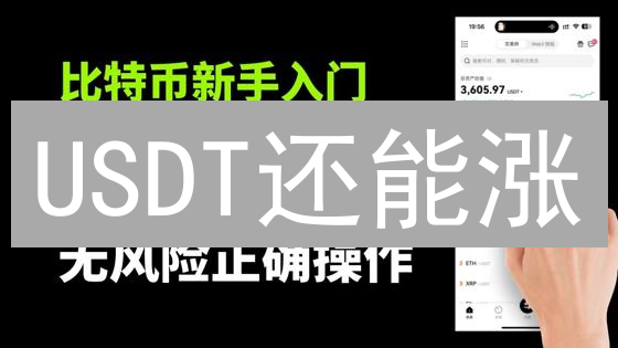 USDT还能涨？欧易OKX泰达币交易终极指南！