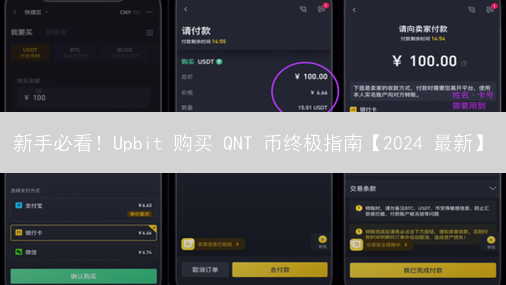新手必看！Upbit 购买 QNT 币终极指南【2024 最新】